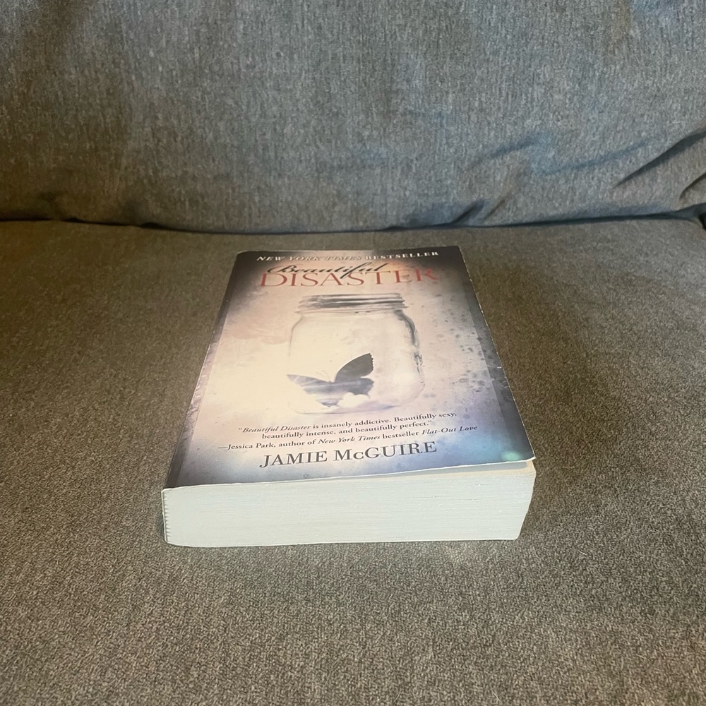 “Beautiful Disaster” Novel - Picture 6 of 6